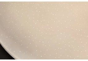 Rabalux 71106 - Plafonieră LED VENDEL, 24 W / 230 V, 4000 K, 37 cm