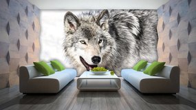 Fototapet - Lup (152,5x104 cm)