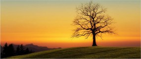 Tablou - Copacul în câmp (120x50 cm)