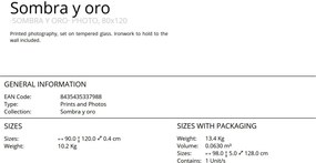 Tablou de perete decorativ Sombra y oro, 80x120cm