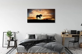 Tablouri canvas apus de soare Unicorn