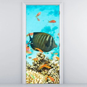 Fototapet pentru ușă - Lumea subacvatica (95x205cm)