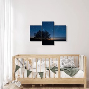 Tablou cu copaci noapte (90x60 cm)