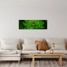 Tablou cu coniferi (cu ceas) (90x30 cm)