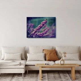 Tablou pe sticlă cu lavanda (70x50 cm)