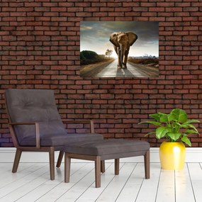 Tablou cu elefant (70x50 cm)