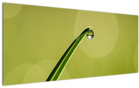 Tablou cu picătură de apă pe iarbă (120x50 cm), în 40 de alte dimensiuni noi
