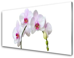 Tablouri acrilice Flori Floral Alb Roz
