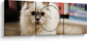 Tablou cu pisica albăr (cu ceas) (90x30 cm)