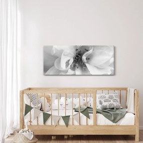 Tablou - Floare,alb-negru (120x50 cm)