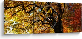 Tablou cu toamna (cu ceas) (90x30 cm)