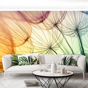Fototapet Păpădie colorat