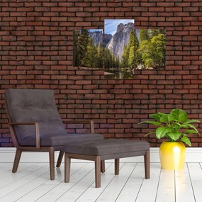 Tablou - Sub Piatra Yosemite (90x60 cm)