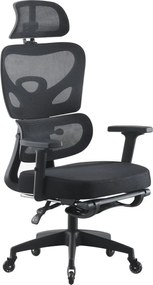 Scaun ergonomic, cotiere 3D, suport lombar adaptiv, spătar reglabil pe inaltime, tetiera 3D, suport pentru picioare, pivotant, Mesh, Negru