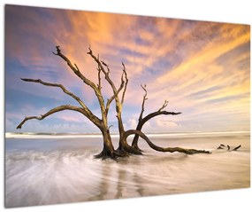 Tablou - Copacul în ocean (90x60 cm)