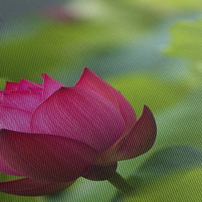 Tablou - floare de apă (cu ceas) (90x30 cm)