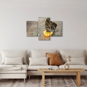 Tablou cu fluturi (90x60 cm)