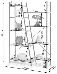 Raft Gecon Reg (nuc + auriu). 1111344