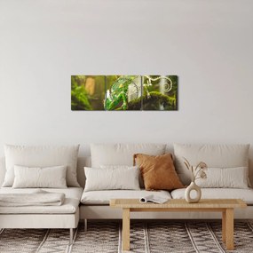 Tablou - cameleon (cu ceas) (90x30 cm)