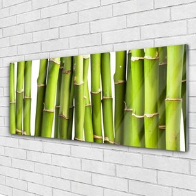 Tablou pe sticla Bamboo Canes Floral Verde