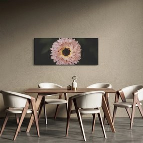 Tablou cu floare portocalie (120x50 cm)