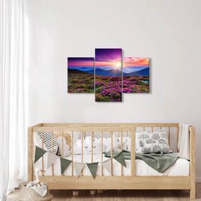 Tablou - Munte înflorit peisaj (90x60 cm)
