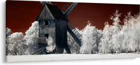 Tablou cu moară (120x50 cm)