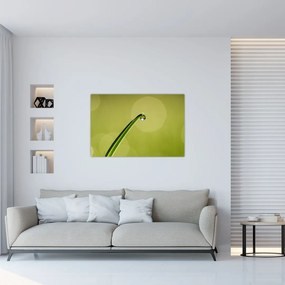 Tablou cu picătură de apă pe iarbă (90x60 cm)