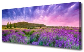 Tablou pe panza canvas Meadow Munții Flori Natura Verde Violet Albastru Roz