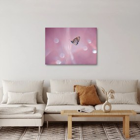 Tablou - Fluture (70x50 cm)