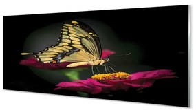 Tablouri acrilice Fluture pe o floare
