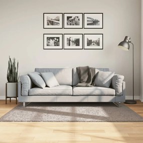 vidaXL Covor pufos &quot;PAMPLONA&quot; cu fire înalte, bej modern, 120x170 cm