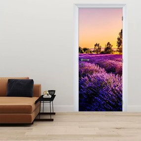 Fototapet pentru ușă - Câmpul cu lavandă (95x205cm)