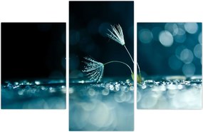 Tablou - Macro (90x60 cm)