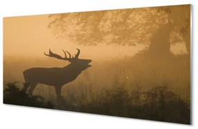 Panouri de sticlă Sunrise Deer