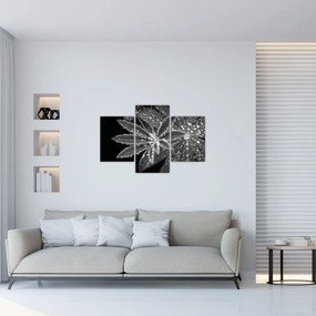 Tablou - Picături (90x60 cm)