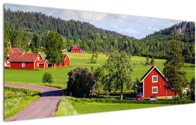 Tabloul cu țară (120x50 cm)