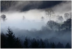 Tablou cu ceță deasupra pădurii (90x60 cm)