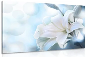 Tablou floare albă de crin pe fundalul abstract