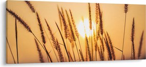 Tablou - Iarbă la soare (120x50 cm)
