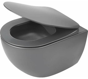 Set Vas WC Deante Peonia antracit cu capac soft close