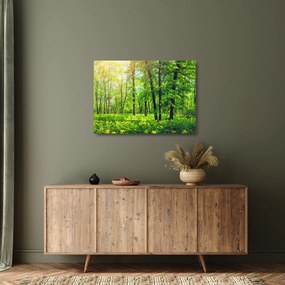 Tablou pe sticlă - Pădurea cu frunze de primăvară (70x50 cm)