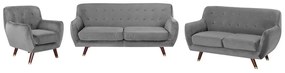 Set canapele Bodmin (gri). 1011128