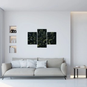 Tablou - Pădure (90x60 cm)