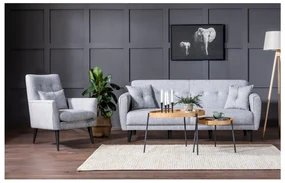 Set canapea fotoliu Aryanna (Gri). 1101491