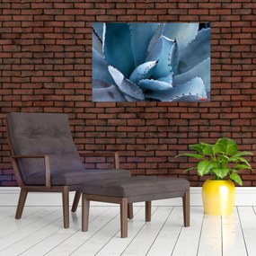 Tablou - Agave (90x60 cm)