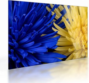 Tablou pe sticlă - detaliu florilor (70x50 cm)