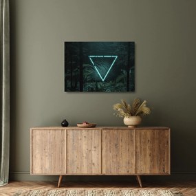 Tablou pe sticlă - Triunghi de neon în junglă (70x50 cm)