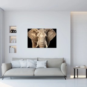 Tablou - Elefant african (90x60 cm)