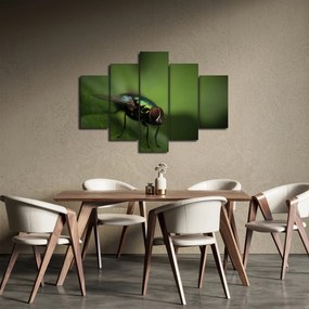 Tablou - Musca (150x105 cm)